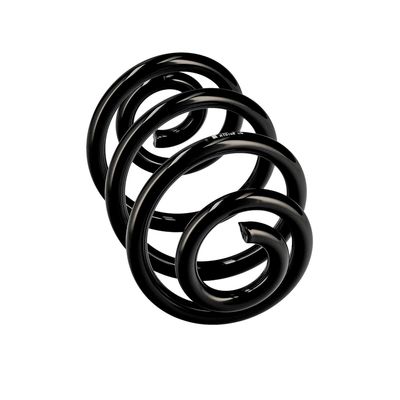 ARC SPIRAL EIBACH R10106 24