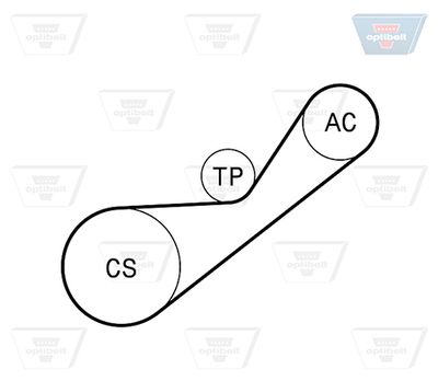 SET CUREA TRANSMISIE CU CANELURI OPTIBELT 4PK925KT1 1