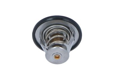 TERMOSTAT LICHID RACIRE NRF 725087 27