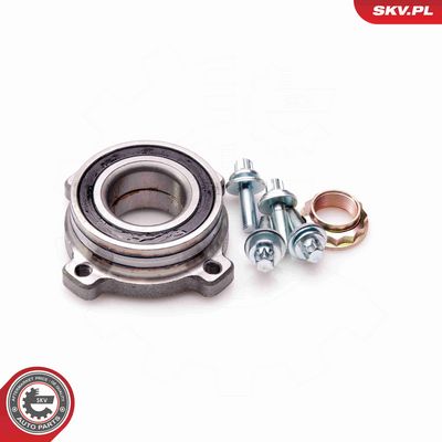 SET RULMENT ROATA ESEN SKV 29SKV157 1