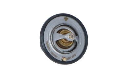 TERMOSTAT LICHID RACIRE NRF 725087 44