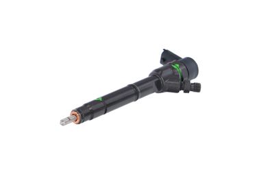 INJECTOR REMANTE 002003001691R 63