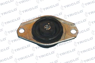 окачване, двигател TRICLO 364611