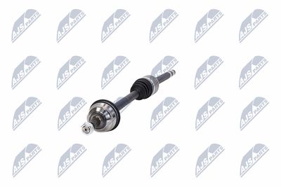 PLANETARA NTY NPWCT181 17