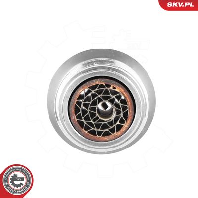 Katalysator ESEN SKV 09SKV998
