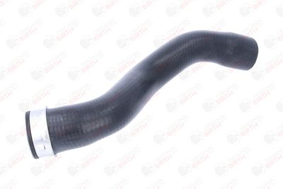 FURTUN EAR SUPRAALIMENTARE BIRTH 55714 5
