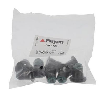 SET GARNITURI AX SUPAPE PAYEN HR5156 1