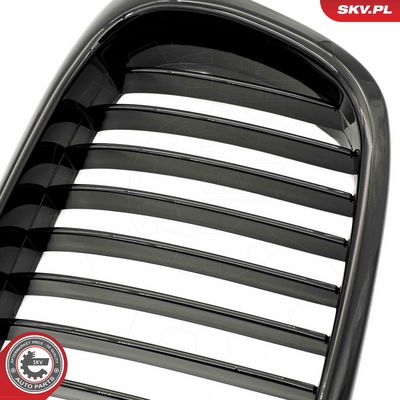 GRILA RADIATOR ESEN SKV 66SKV156 6
