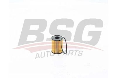 BSG BSG 15-140-014 Масляный фильтр  для PEUGEOT  (Пежо 408)