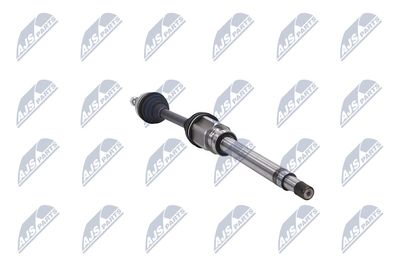 PLANETARA NTY NPWFR076 31