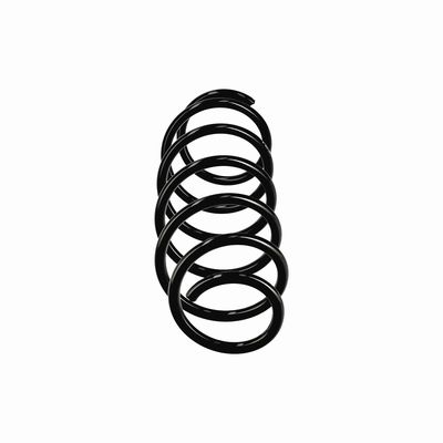 ARC SPIRAL EIBACH R11019 13