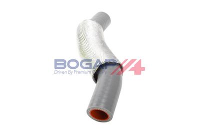 FURTUN EAR SUPRAALIMENTARE BOGAP F1711112 2