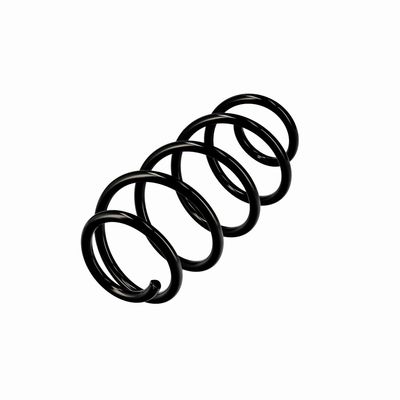 ARC SPIRAL EIBACH R10193 15