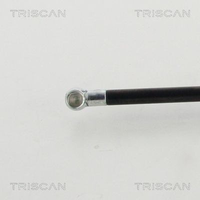 AMORTIZOR PORTBAGAJ TRISCAN 871040239 1