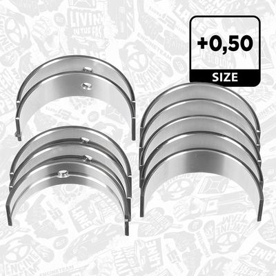 SET RULEMT ARBORE COTIT