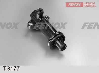термостат, охладителна течност FENOX TS177