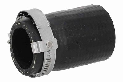 FURTUN EAR SUPRAALIMENTARE