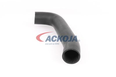 FURTUN EAR SUPRAALIMENTARE ACKOJA A379602 22