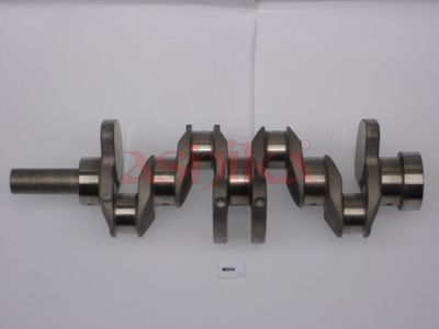 ARBORE COTIT ASHIKA MI004 1