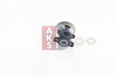 SUPAPA EGR AKS DASIS 565018N 12