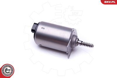 ELEMENT DE REGLARE ARBORE EXCENTIRC (CURSA VARIABILA VENTIL ESEN SKV 96SKV087 1