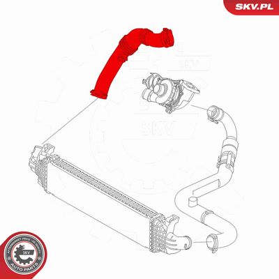 FURTUN EAR SUPRAALIMENTARE ESEN SKV 24SKV866 3