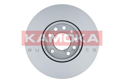 Brake Disc 1031620