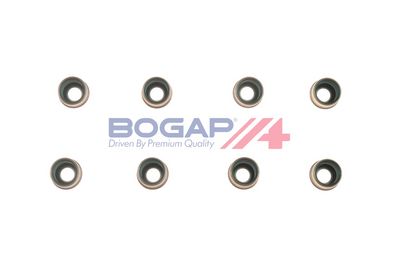 ETANSARE SUPAPE BOGAP N1343102 2