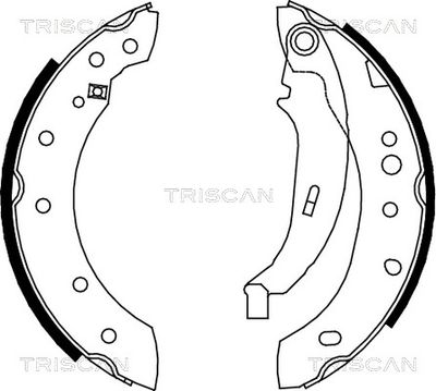 TRISCAN 8100 28052 Ремкомплект барабанных колодок  для PEUGEOT 206 (Пежо 206)