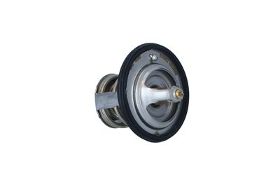 TERMOSTAT LICHID RACIRE NRF 725012 42