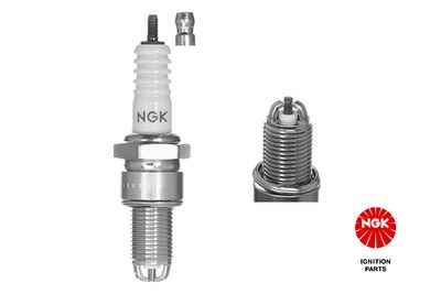 Spark Plug 1263