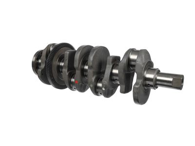 ARBORE COTIT ET ENGINETEAM HK0231 7