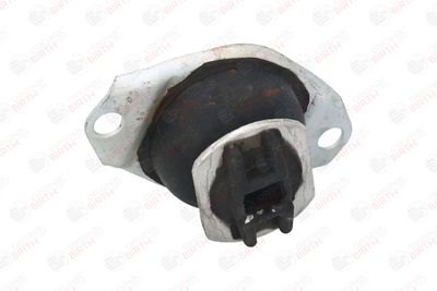 SUPORT MOTOR BIRTH 5354 6