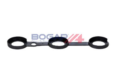 GARNITURA CAPAC SUPAPE BOGAP B1118150