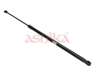 ZSA09067