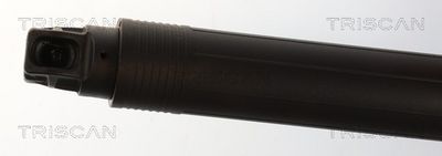 TRISCAN - Vzpera kufra SKODA , 8710 29332