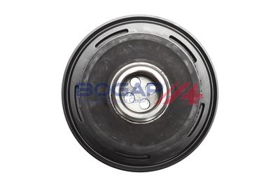 FULIE CUREA ARBORE COTIT BOGAP B1213144 2