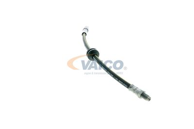 FURTUN FRANA VAICO V220627 35