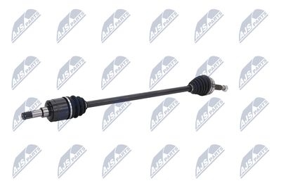 PLANETARA NTY NPWCH106 3