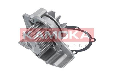 Water Pump, engine cooling T0095