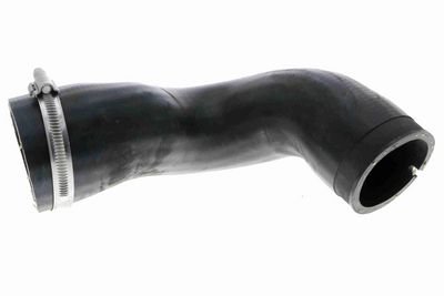 FURTUN EAR SUPRAALIMENTARE