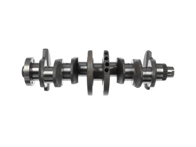 ARBORE COTIT ET ENGINETEAM HK0230 5