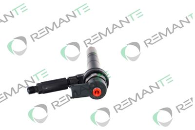 INJECTOR REMANTE 002003001191R 1
