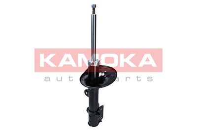 Shock Absorber 2000375