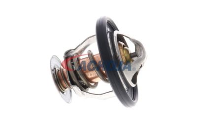 TERMOSTAT LICHID RACIRE ACKOJA A70990031 13