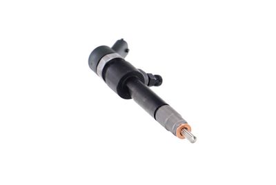 INJECTOR REMANTE 002003001695R 51