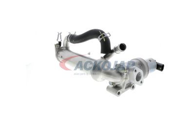 MODUL-EGR ACKOJA A52630018 43