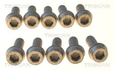 Boulon de fixation, bras transversal TRISCAN