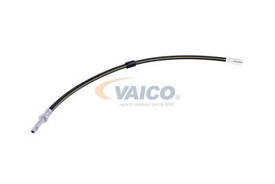 FURTUN FRANA VAICO V300547 55