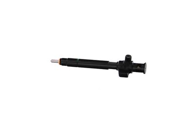 INJECTOR REMANTE 002003002153R 10